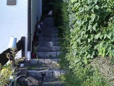 Apartmán Willrich *