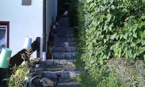 Appartamento Willrich *